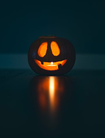 November of Remembrance How Website Localization Services Support Dignity Across Traditions