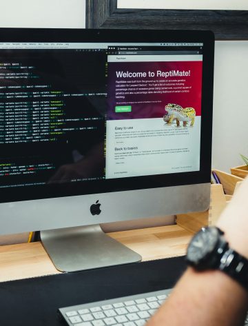 Website Localization